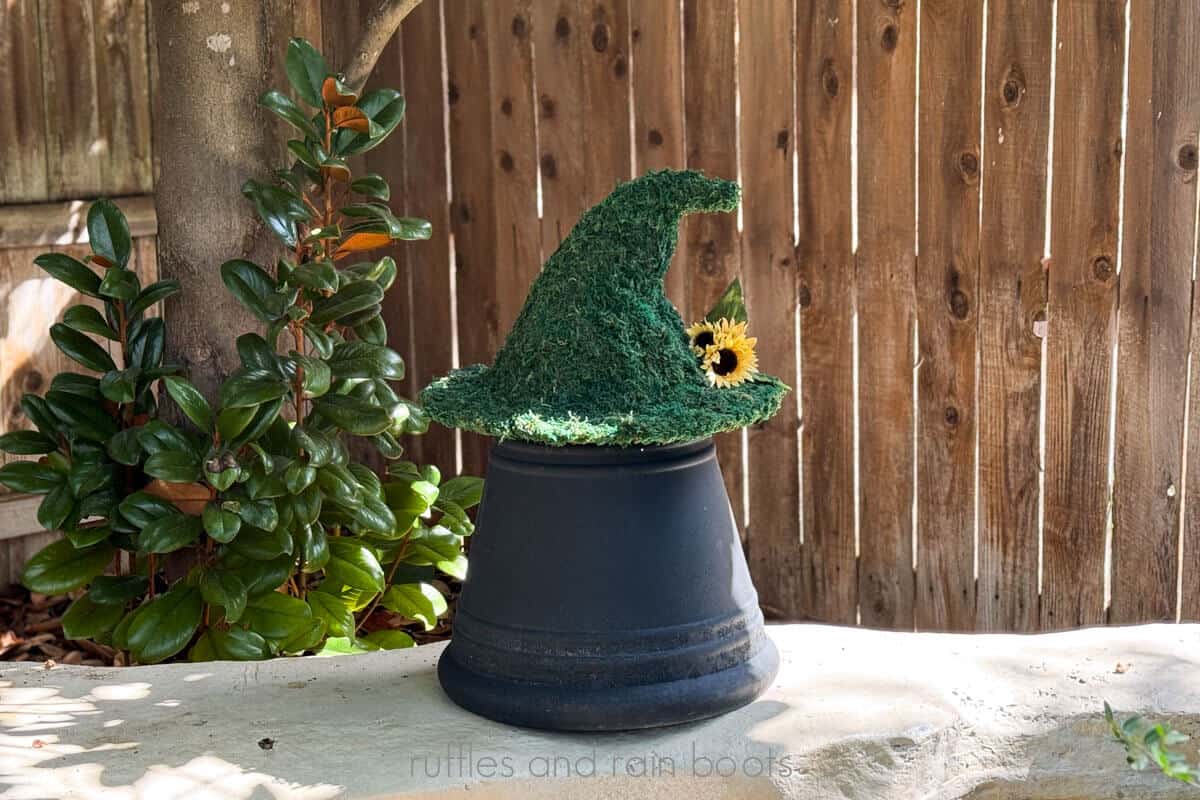 Horizontal image of a moss witch hat with sunflower accent on a planter on a stone bench.